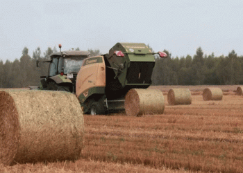 Vladimir Region’s Agri-Transition: High Yields, New Crops, and Strategic Grants Reshape the Landscape