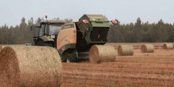 Vladimir Region’s Agri-Transition: High Yields, New Crops, and Strategic Grants Reshape the Landscape