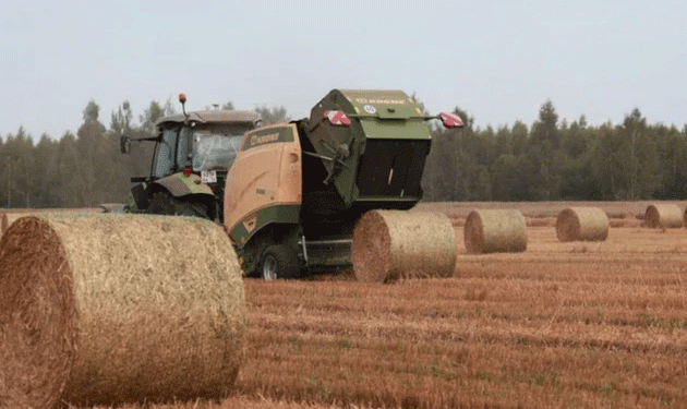 Vladimir Region’s Agri-Transition: High Yields, New Crops, and Strategic Grants Reshape the Landscape