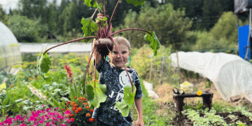 The 2025 Harvest Calendar: Maximizing Yield and Shelf-Life for Carrots and Beetroot