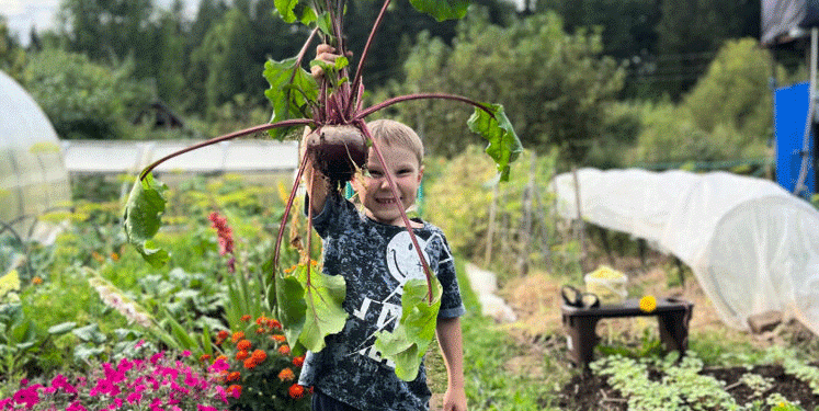 The 2025 Harvest Calendar: Maximizing Yield and Shelf-Life for Carrots and Beetroot