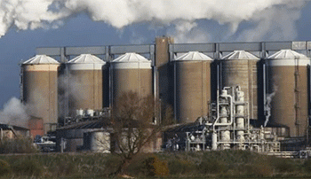 British Sugar’s 2024 Campaign: Strategic Staggering of Factory Openings Optimizes Harvest Logistics