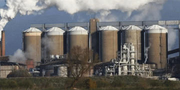 British Sugar’s 2024 Campaign: Strategic Staggering of Factory Openings Optimizes Harvest Logistics