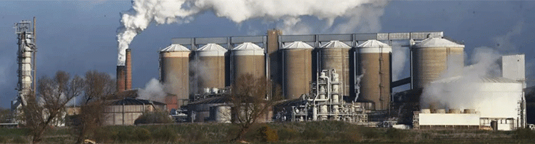 British Sugar’s 2024 Campaign: Strategic Staggering of Factory Openings Optimizes Harvest Logistics