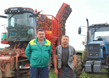 Belarus’ Ambitious Target: Breaking the 5 Million Ton Sugar Beet Barrier in 2025