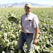 Pacific Northwest Sugar Beets: Record Yield Potential Meets Water Management Challenges