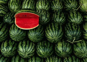 The 475% Markup: Spain’s Watermelon Price Surge Exposes Critical Flaws in Fresh Produce Supply Chains