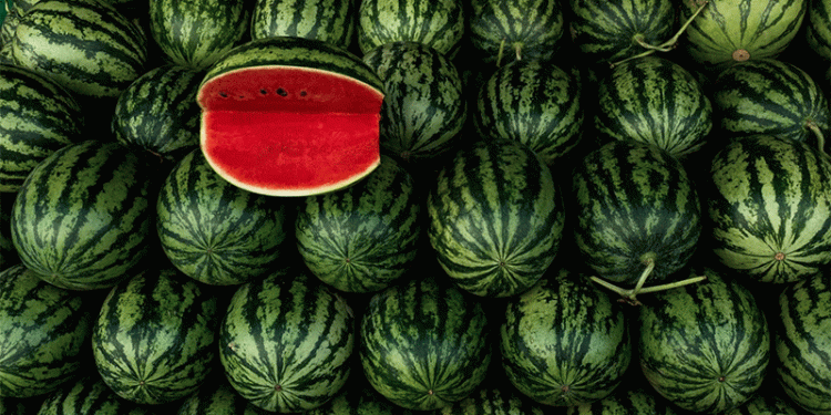 The 475% Markup: Spain’s Watermelon Price Surge Exposes Critical Flaws in Fresh Produce Supply Chains