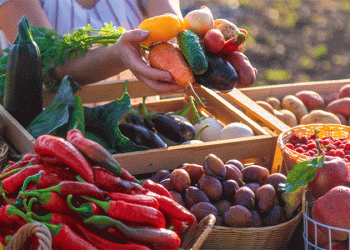 The EU’s 2024 Harvest: A Tale of Rising Vegetables and Shifting Fruit Orchards