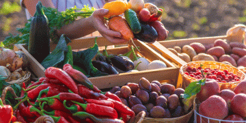 The EU’s 2024 Harvest: A Tale of Rising Vegetables and Shifting Fruit Orchards