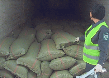 Beyond the Border: Buryatia’s Agri-Exports to Mongolia Highlight Regional Trade Dynamics and Phytosanitary Vigilance