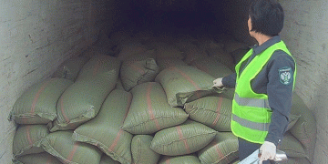 Beyond the Border: Buryatia’s Agri-Exports to Mongolia Highlight Regional Trade Dynamics and Phytosanitary Vigilance