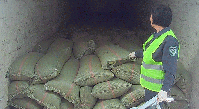 Beyond the Border: Buryatia’s Agri-Exports to Mongolia Highlight Regional Trade Dynamics and Phytosanitary Vigilance