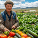 The Modern Kyrgyz Agribusinessman: A Data-Driven Blueprint for Success