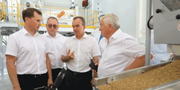 Breaking the Seed Barrier: Kuban’s Ambitious Plan to Achieve Sugar Beet Sovereignty