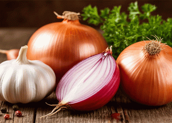 Garlic and Onion Import Surge: Kyrgyzstan’s 360% Increase Signals Deeper Agricultural Challenges
