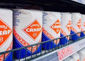 Record Sugar Beet Yields Defy Weather Challenges: Belarus Targets 670,000 Tons of Sugar