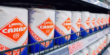 Record Sugar Beet Yields Defy Weather Challenges: Belarus Targets 670,000 Tons of Sugar