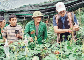 High-Tech Agriculture: Unlocking Sustainable Value and Competitive Edge