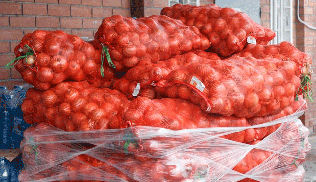 The Invisible Foe: How Resistant Onion Thrips Are Outsmarting Russian Farmers