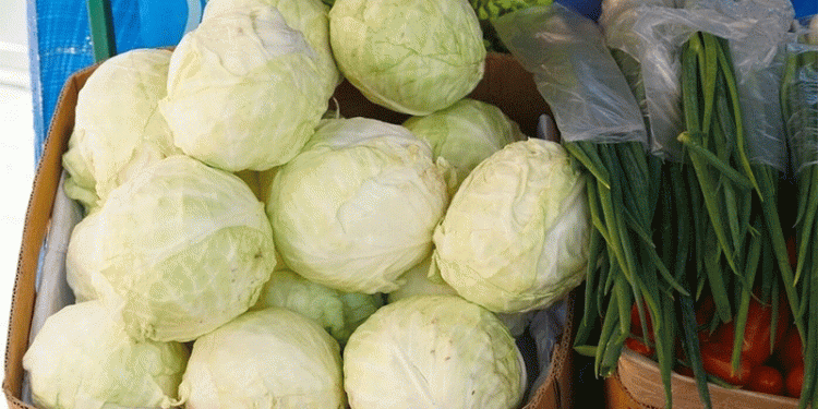 A Double-Edged Sword: Soaring Chinese Cabbage Imports into Zabaykalsky Bring Heightened Biosecurity Risks