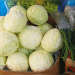 A Double-Edged Sword: Soaring Chinese Cabbage Imports into Zabaykalsky Bring Heightened Biosecurity Risks