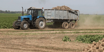 Precision and Pace: A Case Study in Efficient Sugar Beet Harvesting at Progress-Vertelishki