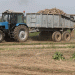Precision and Pace: A Case Study in Efficient Sugar Beet Harvesting at Progress-Vertelishki