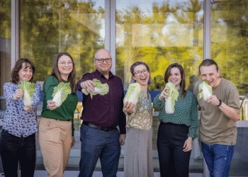 From Food Waste to High-Tech Sensor: The Unexpected Potential of Chinese Cabbage