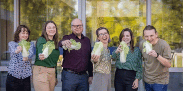From Food Waste to High-Tech Sensor: The Unexpected Potential of Chinese Cabbage