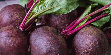 The Shrinking Beet: How Retail Demand is Reshaping Agronomic Practices in Table Beet Production
