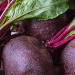 The Shrinking Beet: How Retail Demand is Reshaping Agronomic Practices in Table Beet Production