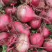 The 1.6 Kg Beetroot: Analyzing a Backyard Anomaly and Its Lessons for Commercial Production