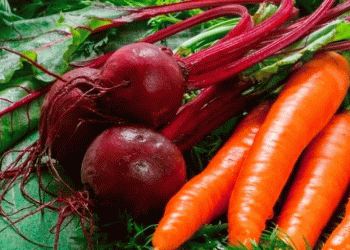 Siberian Snowfall Slashes Harvest: A Case Study in Climate Volatility and Agricultural Resilience