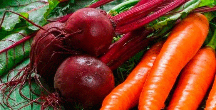 Siberian Snowfall Slashes Harvest: A Case Study in Climate Volatility and Agricultural Resilience