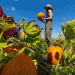 From Research Plot to Public Event: The Supply Chain of a Specialty Crop