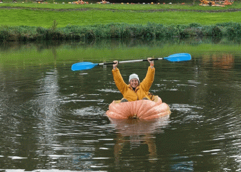 From Commodity to Culinary Destination: The Pumpkimania Blueprint for Agri-Tourism