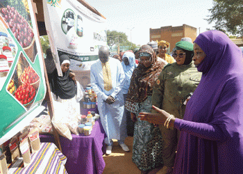 From Field to Fortune: How Niger’s Women Are Tackling a 60% Post-Harvest Loss in the Onion Sector