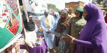From Field to Fortune: How Niger’s Women Are Tackling a 60% Post-Harvest Loss in the Onion Sector