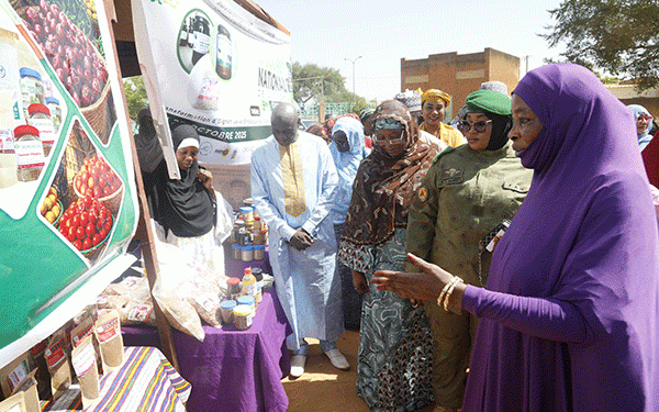 From Field to Fortune: How Niger’s Women Are Tackling a 60% Post-Harvest Loss in the Onion Sector