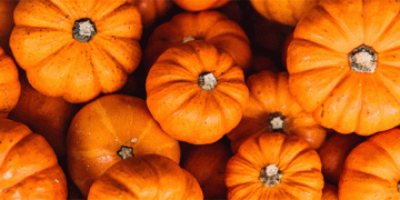 Beyond the Pie: What Google Trends Data Reveals About Evolving Pumpkin Markets