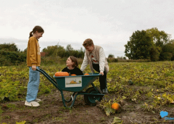 The Blueprint for a Profitable Pick-Your-Own: Analyzing a Premier Pumpkin Event