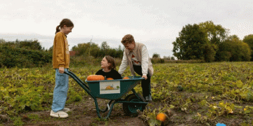 The Blueprint for a Profitable Pick-Your-Own: Analyzing a Premier Pumpkin Event