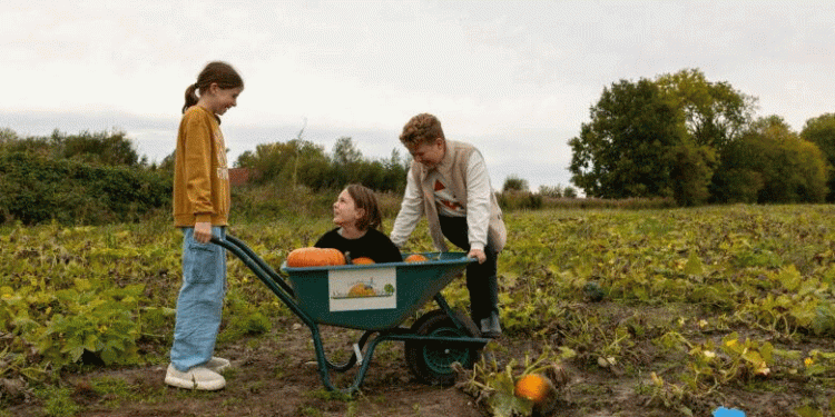 The Blueprint for a Profitable Pick-Your-Own: Analyzing a Premier Pumpkin Event