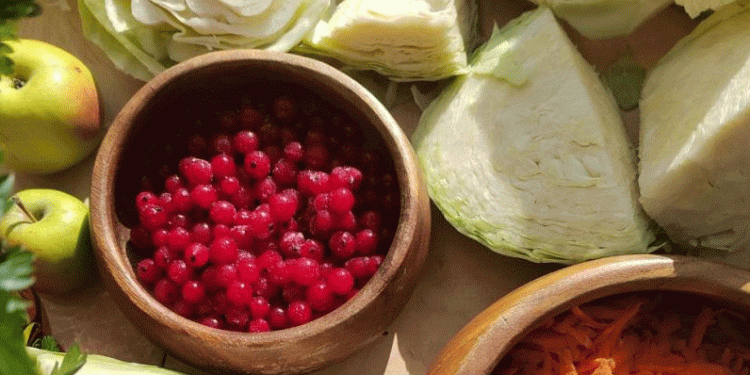 The Tyumen Model: Record Yields and Strategic Storage in a Volatile Global Food Market