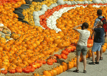 Beyond the Patch: How a World-Class Pumpkin Festival Builds a Global Agricultural Brand