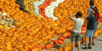 Beyond the Patch: How a World-Class Pumpkin Festival Builds a Global Agricultural Brand