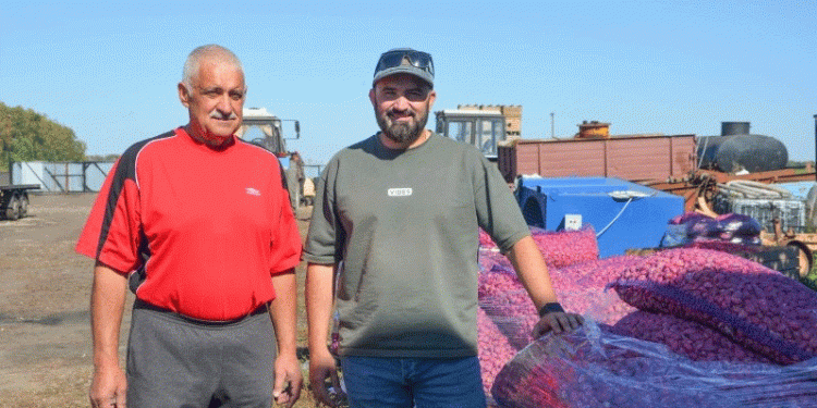 Scaling a Niche: How a Father-Son Duo is Capitalizing on Garlic’s Profitability