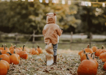 The Economics of Enchantment: Designing High-Value Agritourism Pumpkin Events