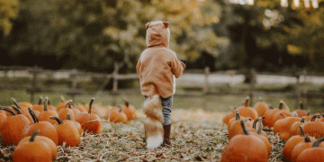 The Economics of Enchantment: Designing High-Value Agritourism Pumpkin Events